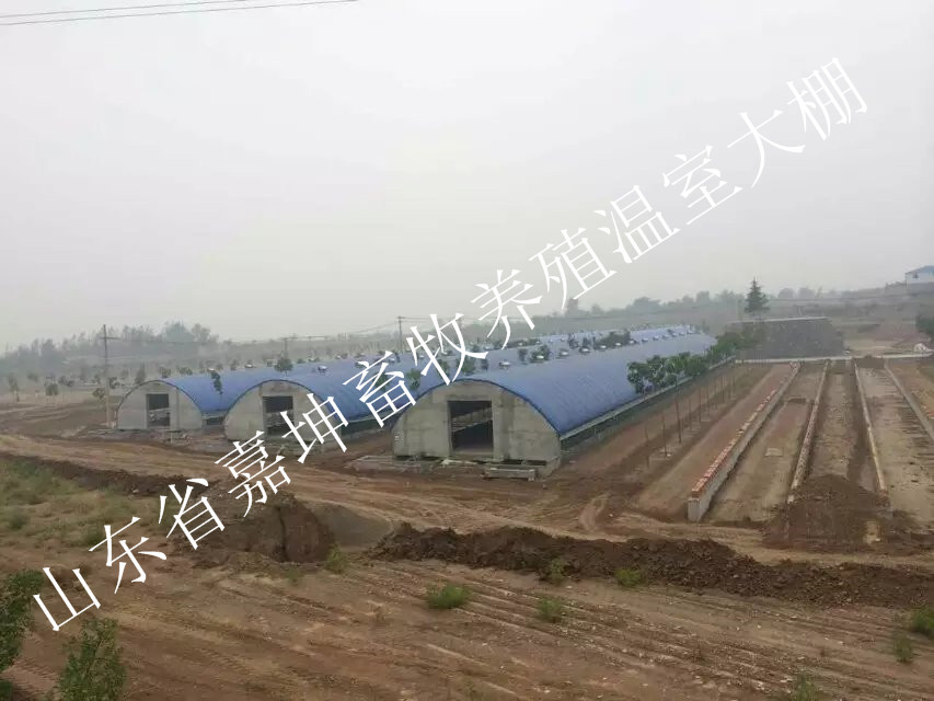 水產養殖大棚 供應養殖大棚 薄膜溫室大棚建設 建養雞大棚