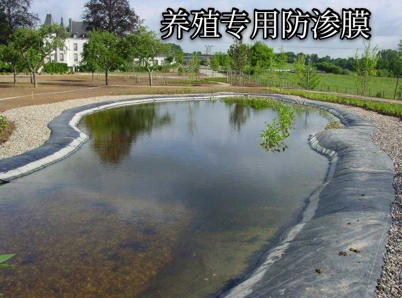 江西宜春物優(yōu)價(jià)廉廠家直銷防滲土工膜